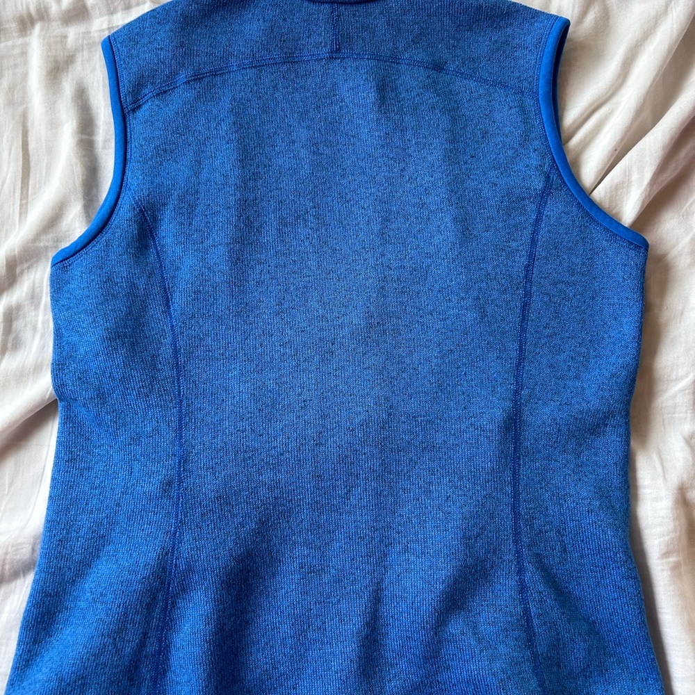 Blue Patagonia Vest - Picture 4 of 6